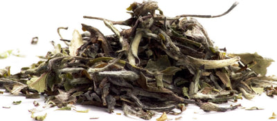 Hvid pæon (Bai mu dan)