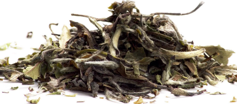 Hvid pæon (Bai mu dan)